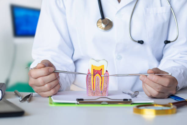 Best Root Canal Emergency Dentist  in Norwood, NC